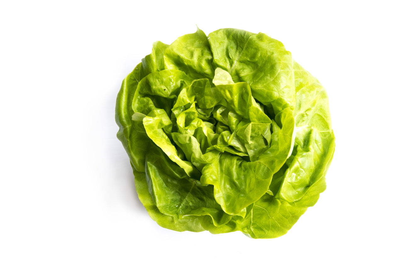Butter Lettuce Fresh Avenue