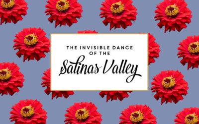 The Invisible Dance of the Salinas Valley