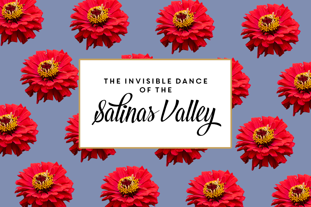 The Invisible Dance of the Salinas Valley