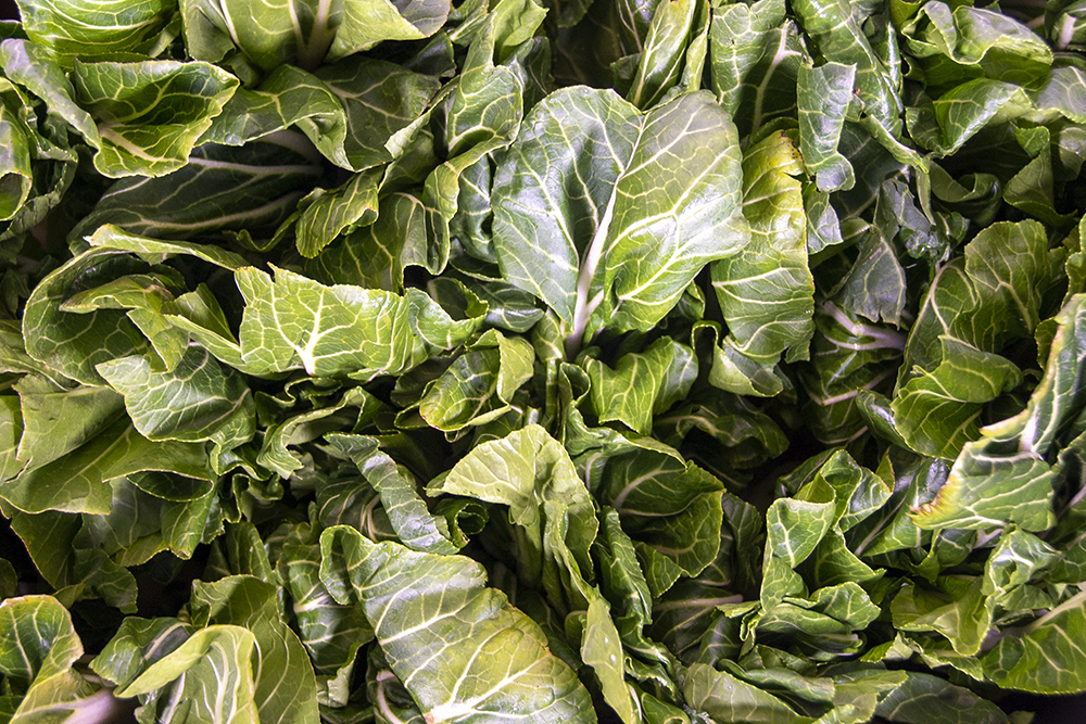 bokchoyleaves-1000