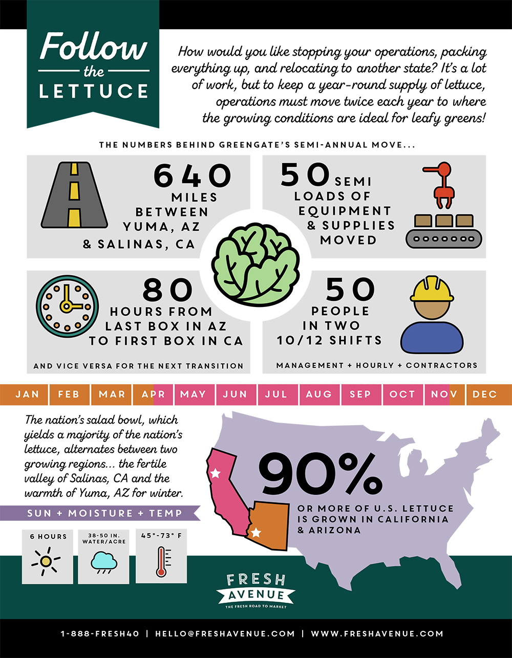 followthelettuce