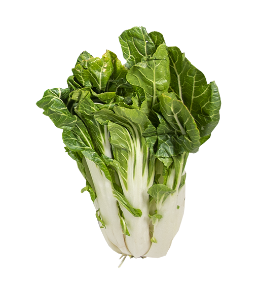bokchoy-single-square