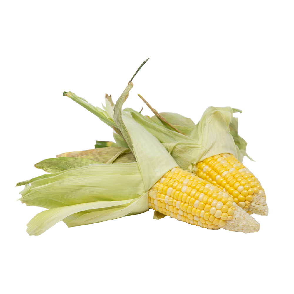 corn2