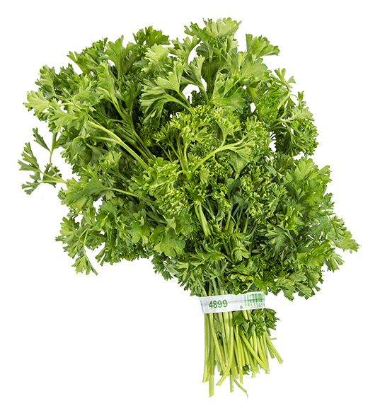 curlyparsley-single-square