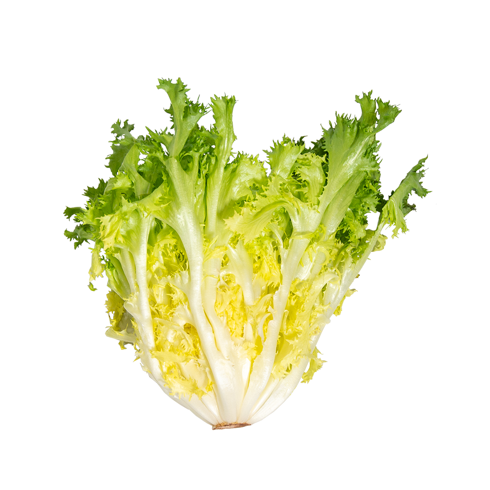 endive