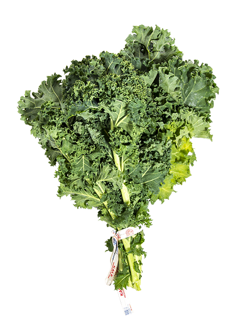 kale-single-web