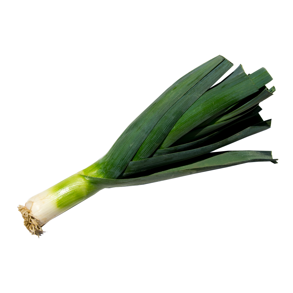 leek