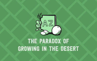 The Paradox of Growing in the Desert