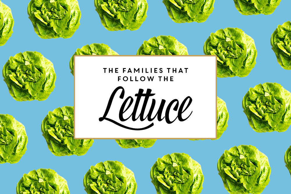 The Families that Follow the Lettuce