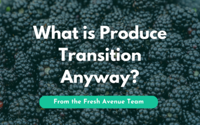 What is Produce Transition Anyway?
